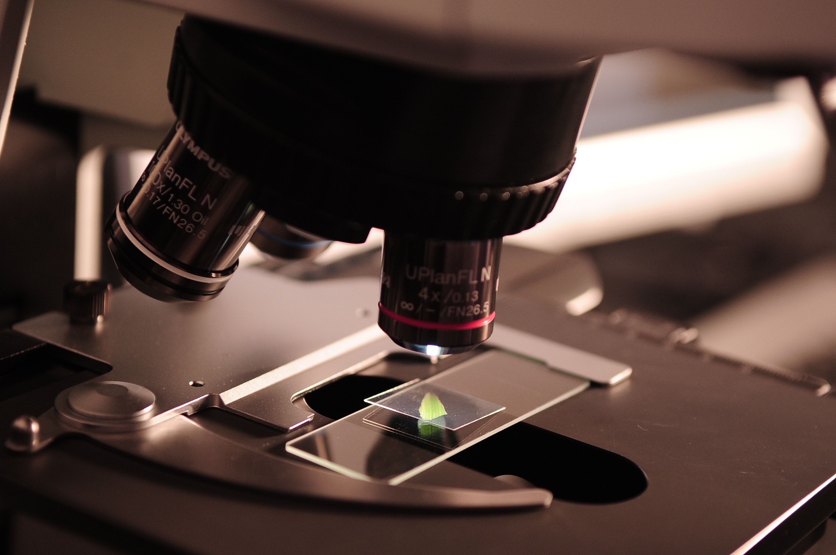 About Crystal Life Sciences